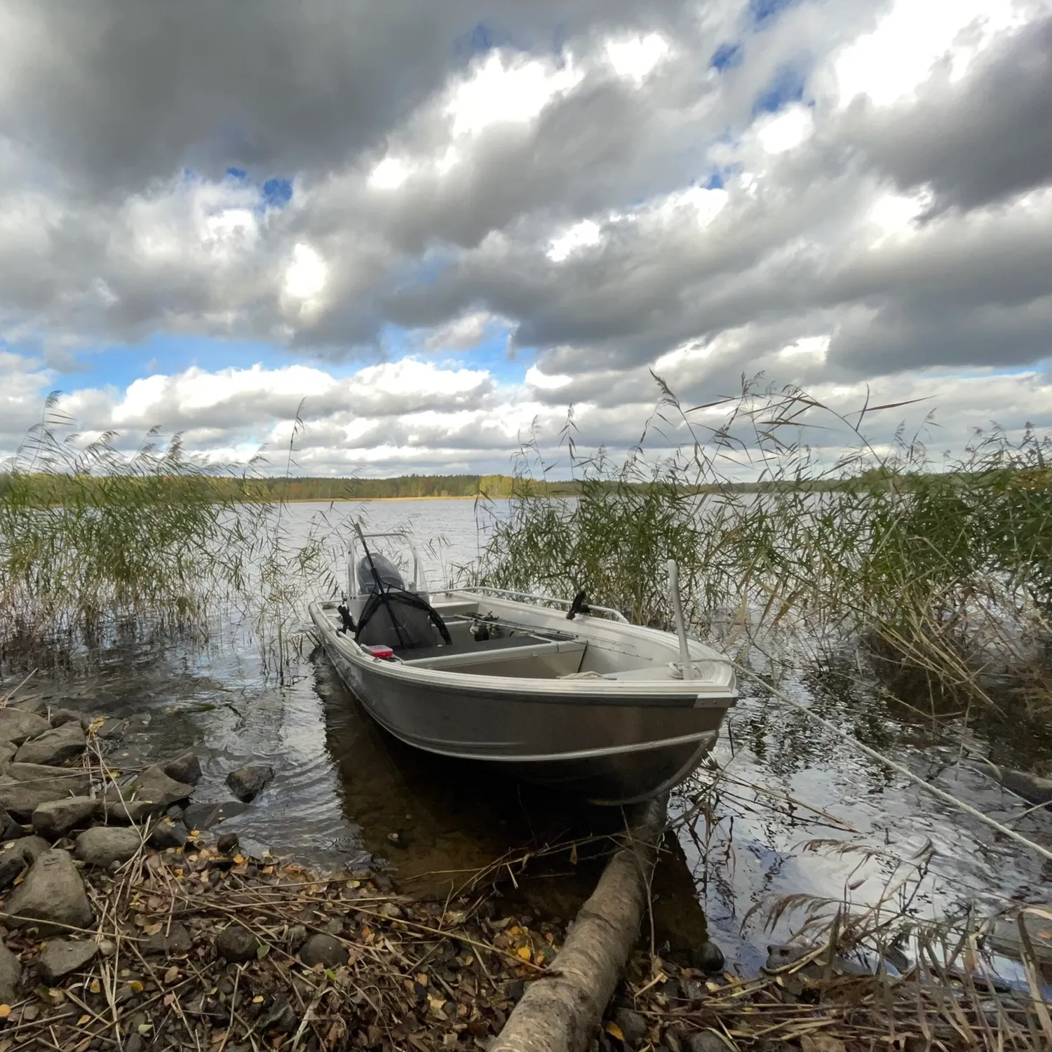 Northern pike caught on Fishbrain