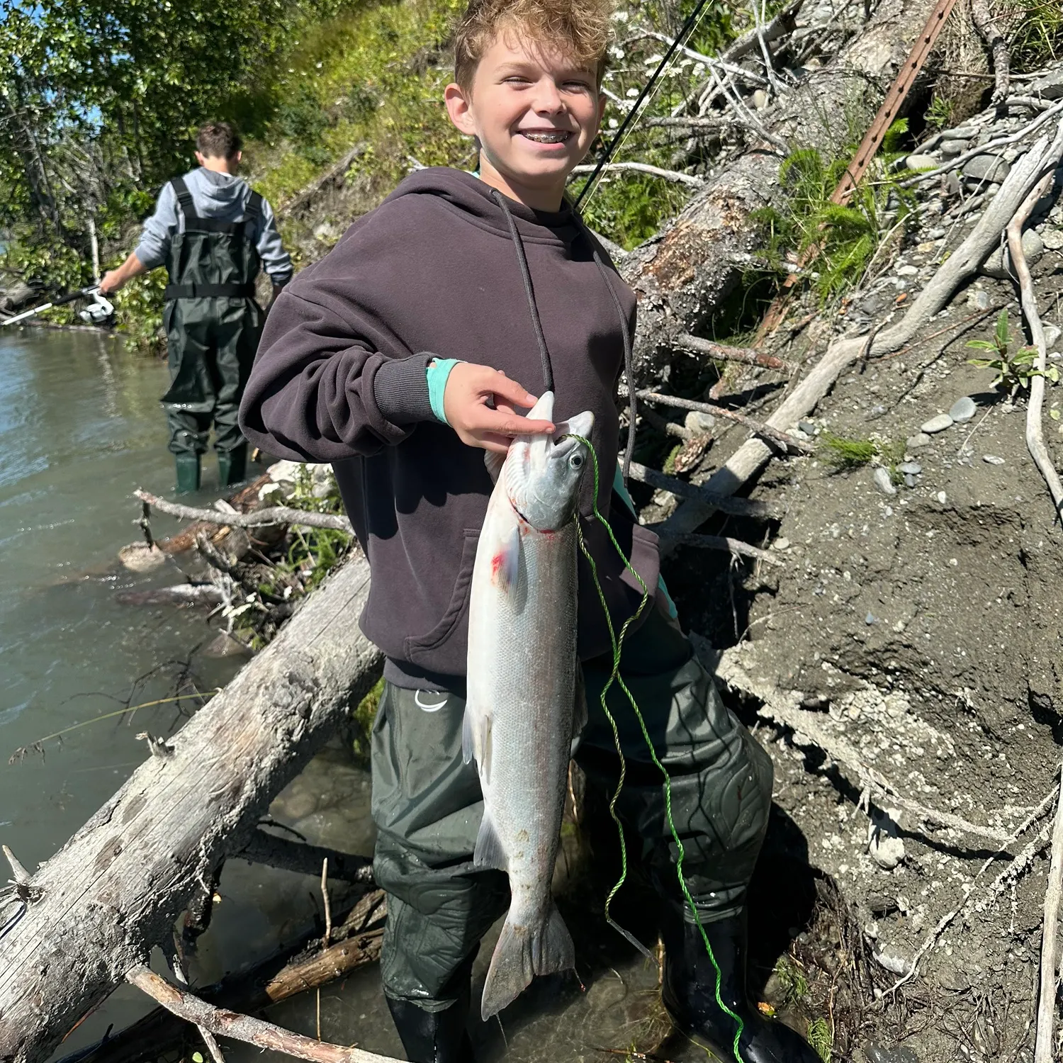 The most recent Sockeye salmon catches on Fishbrain