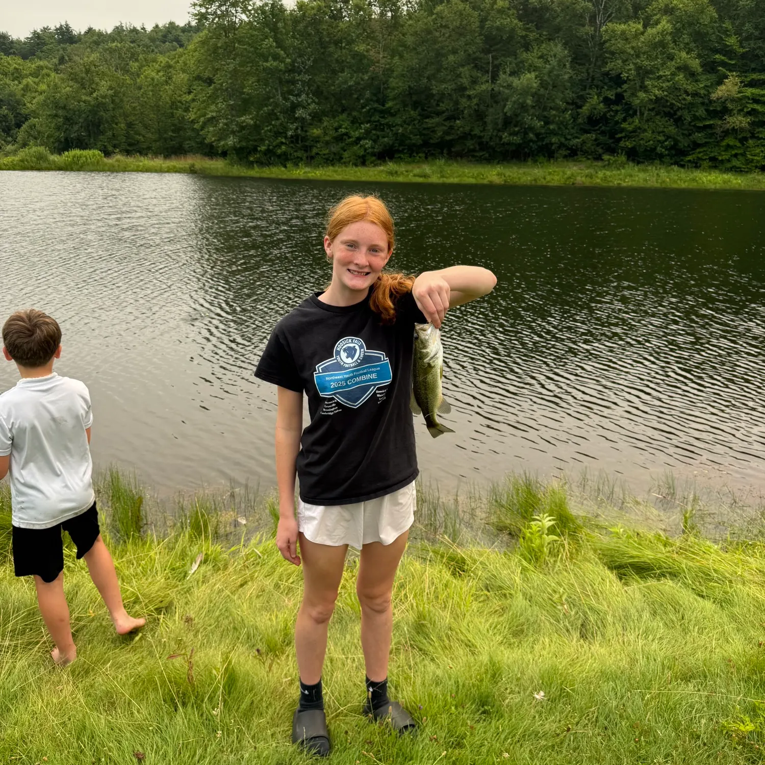 The most recent Grass pickerel catches on Fishbrain