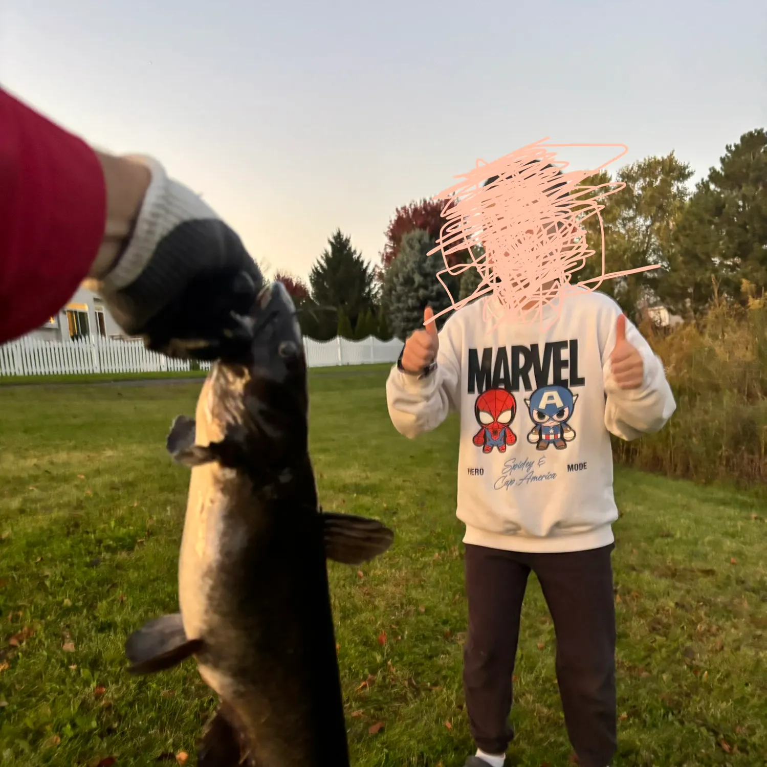 Black bullhead caught on Fishbrain