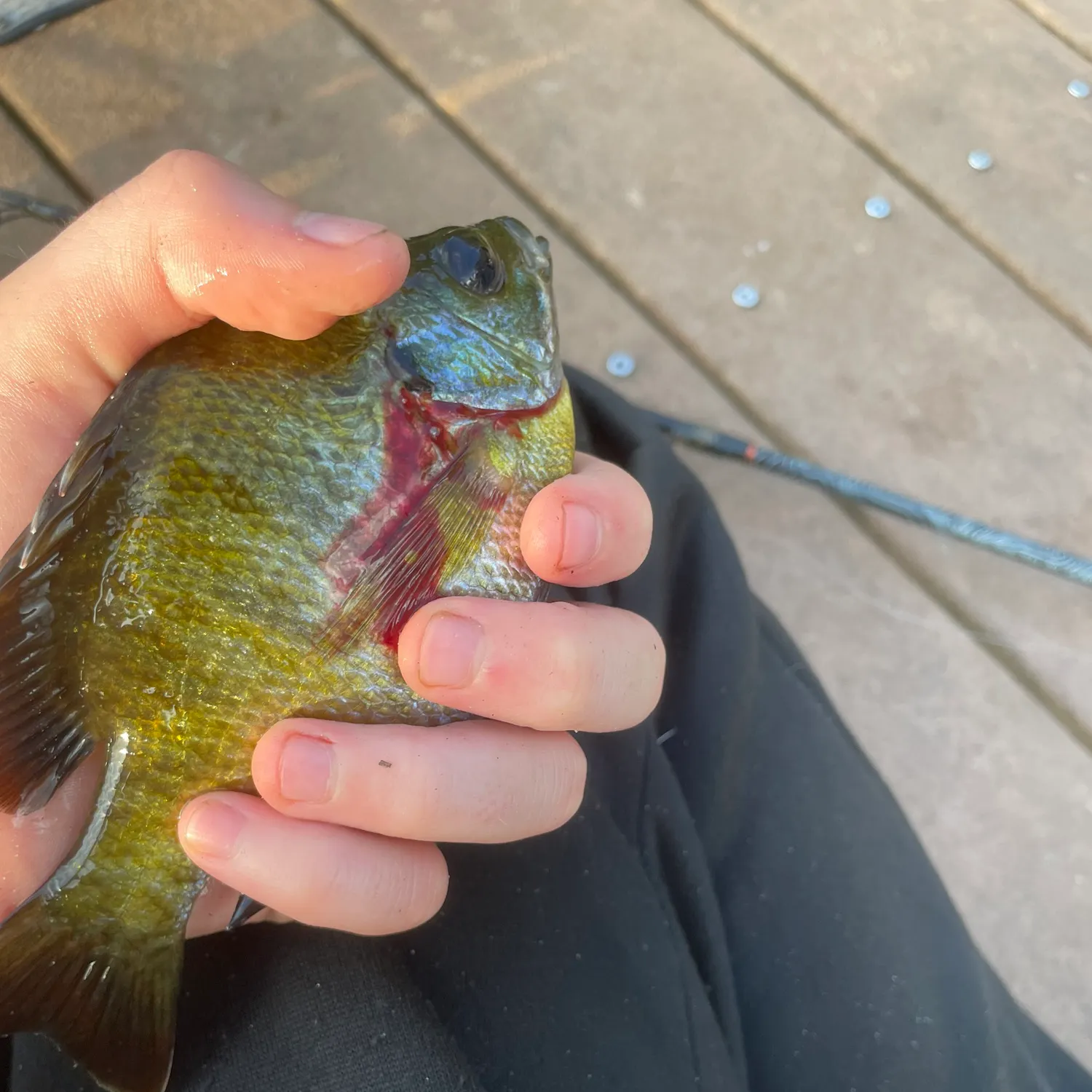 catch