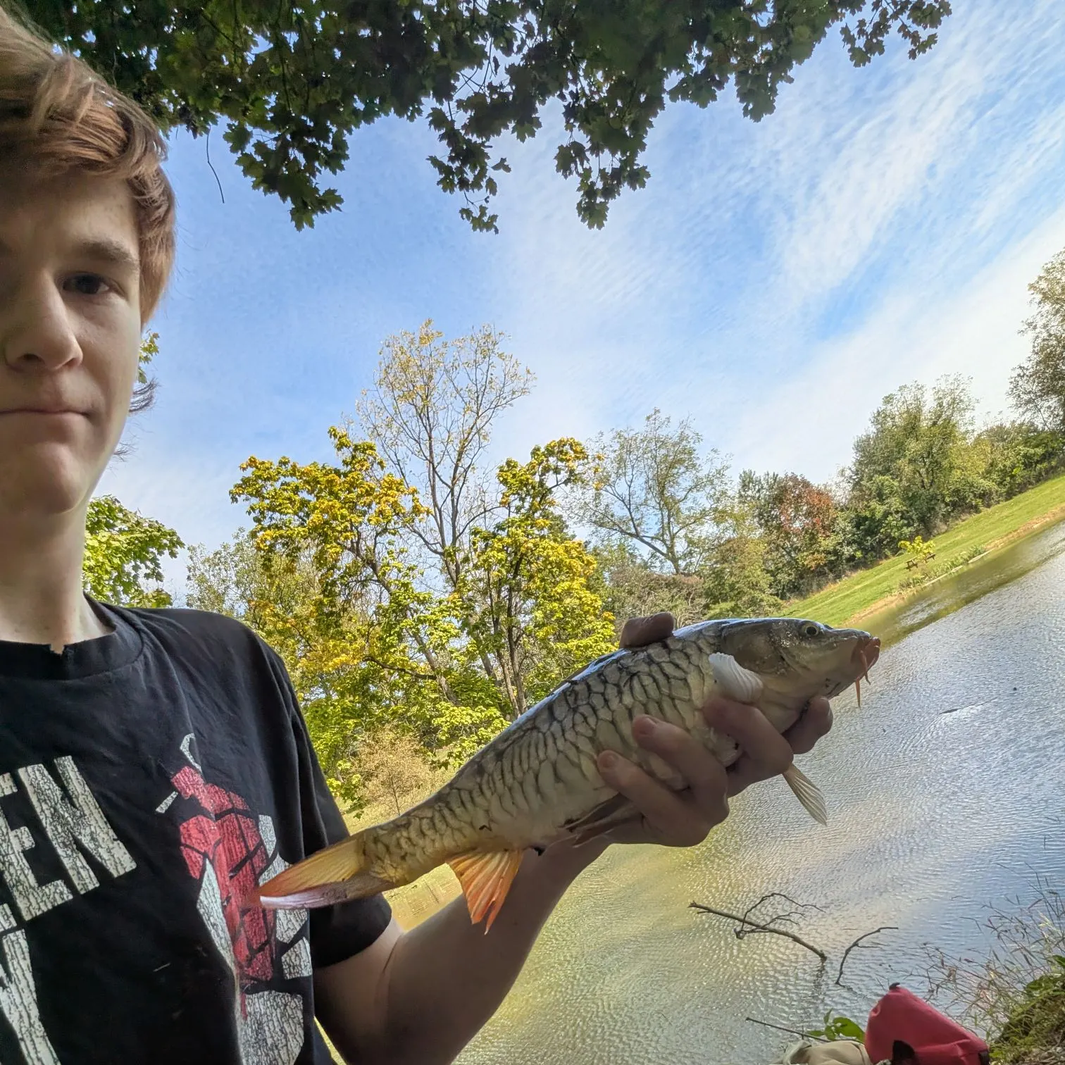 Mirror carp caught on Fishbrain