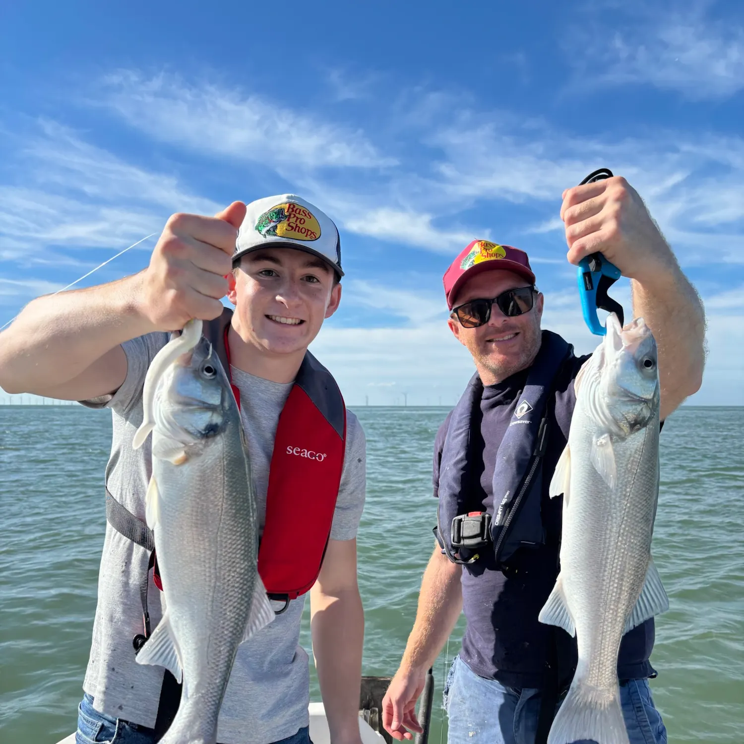 European seabass caught on Fishbrain