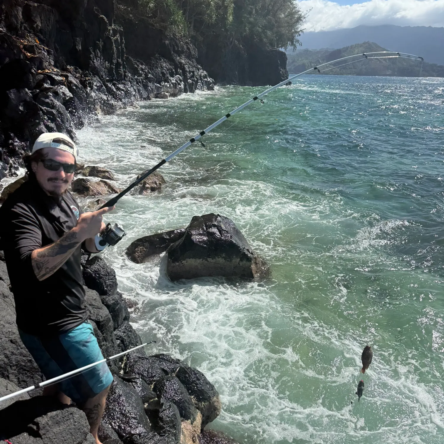 The most recent Convict surgeonfish catches on Fishbrain