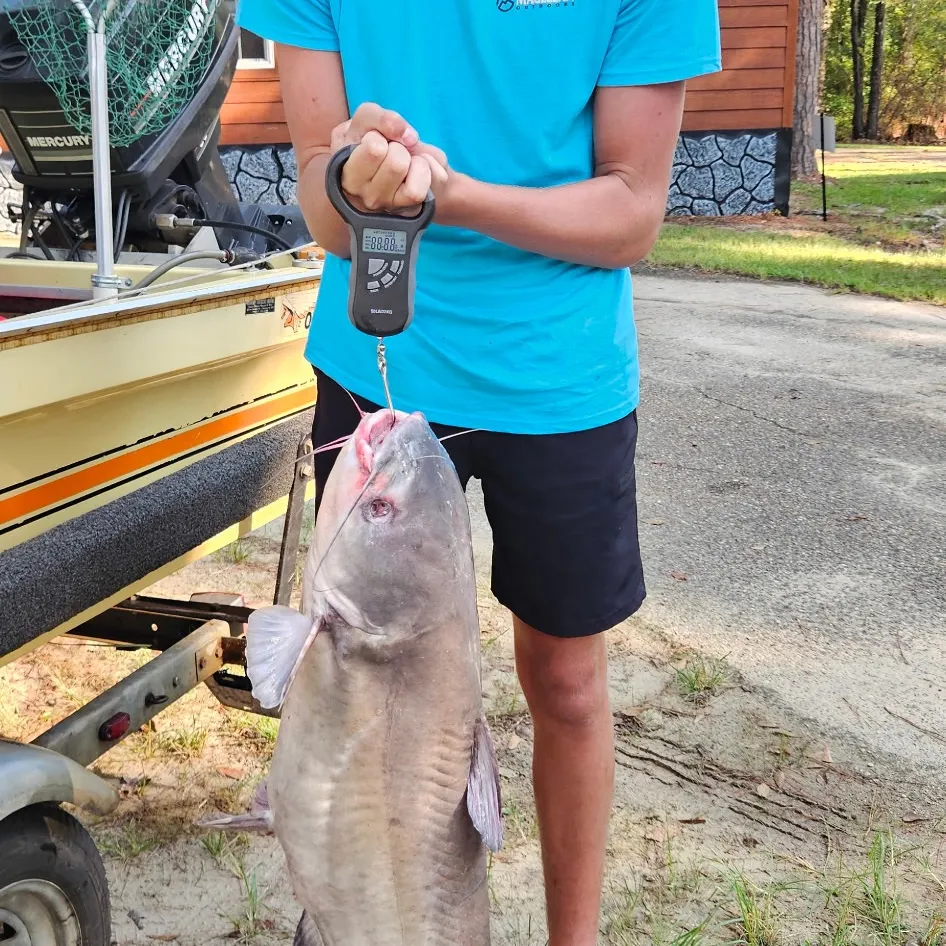 Fish caught on Fishbrain