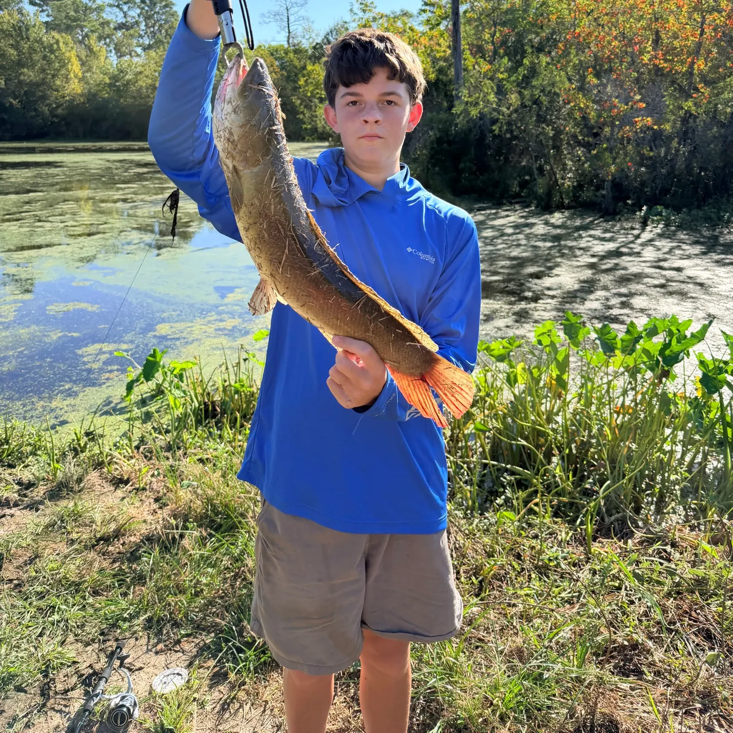 Eyetail bowfin caught on Fishbrain