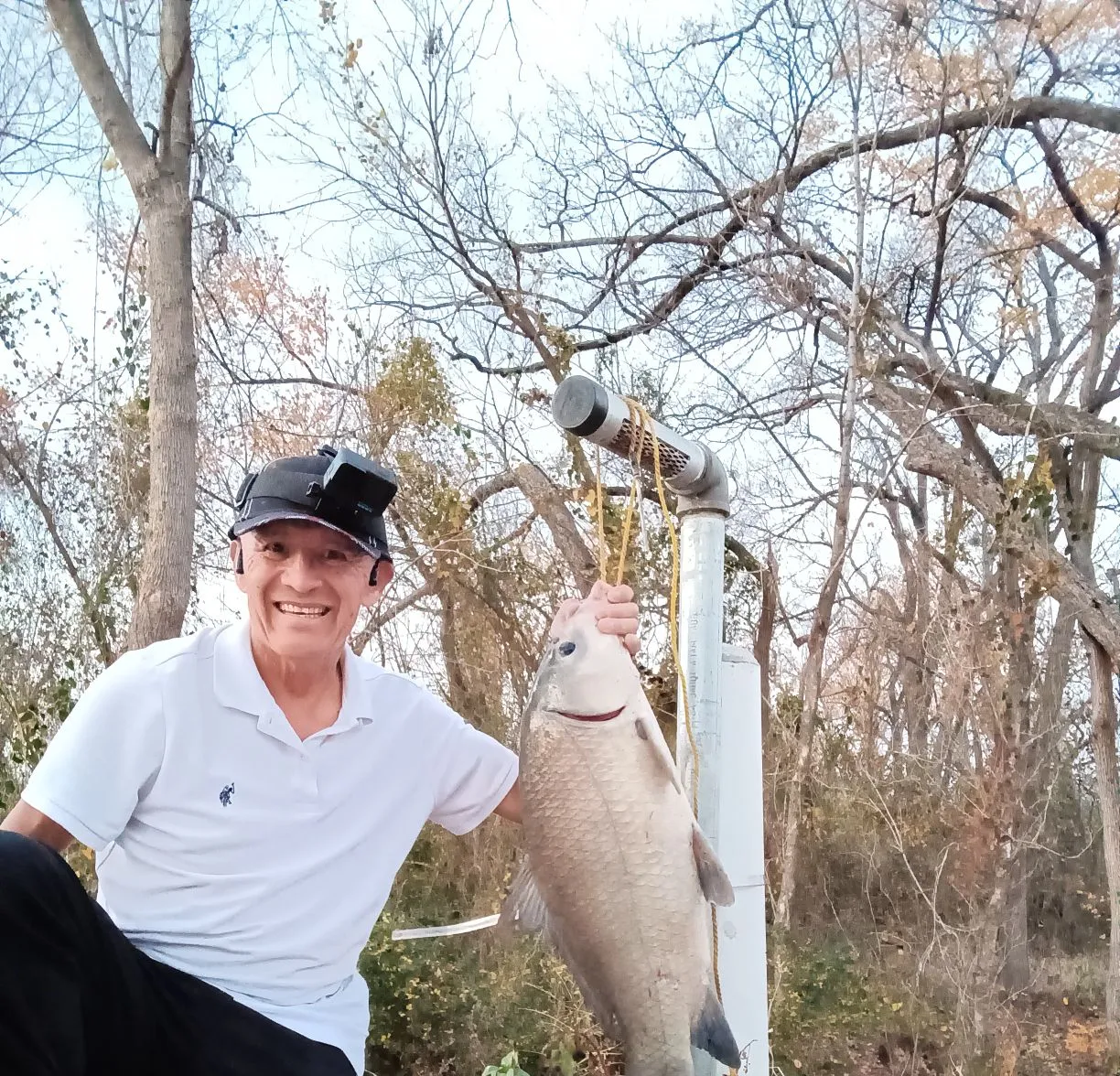 Smallmouth buffalo