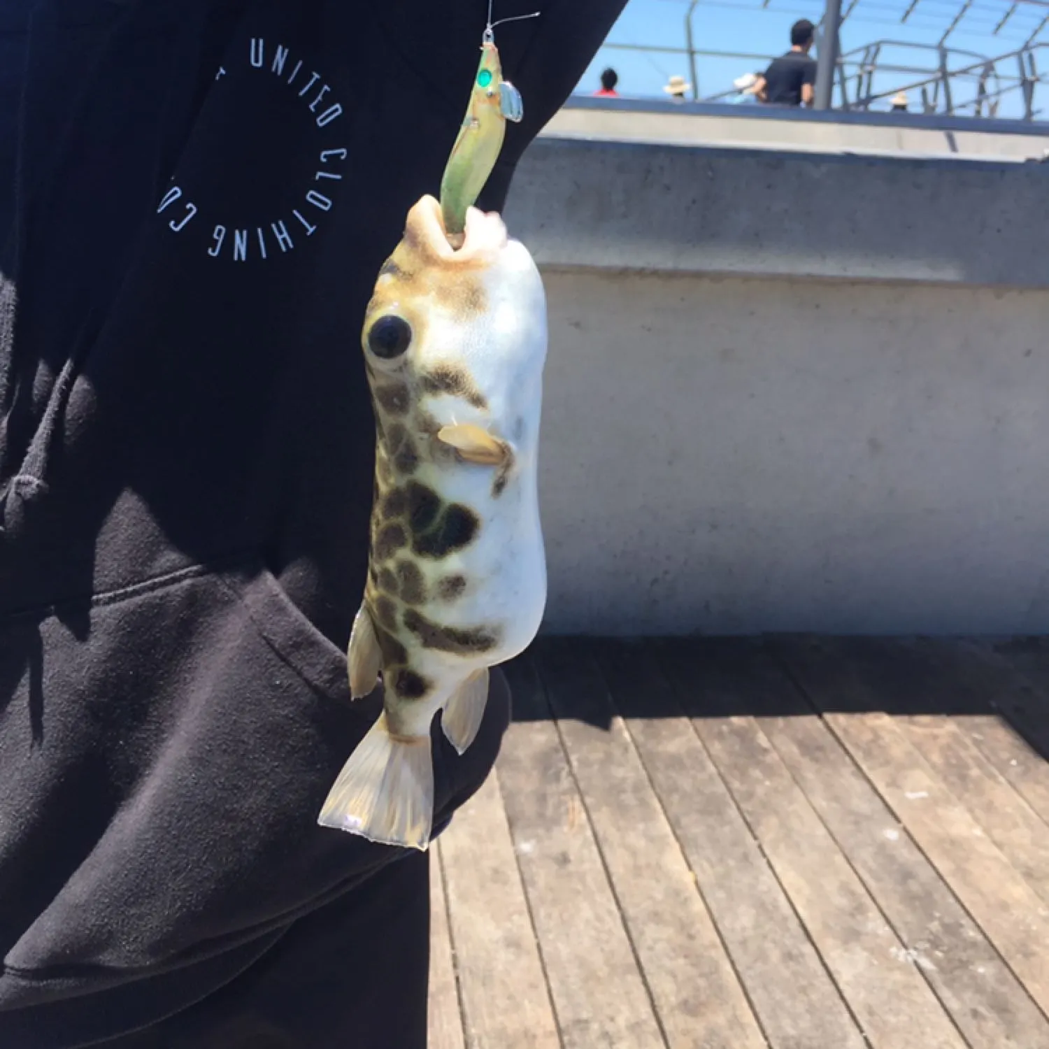most liked catch image