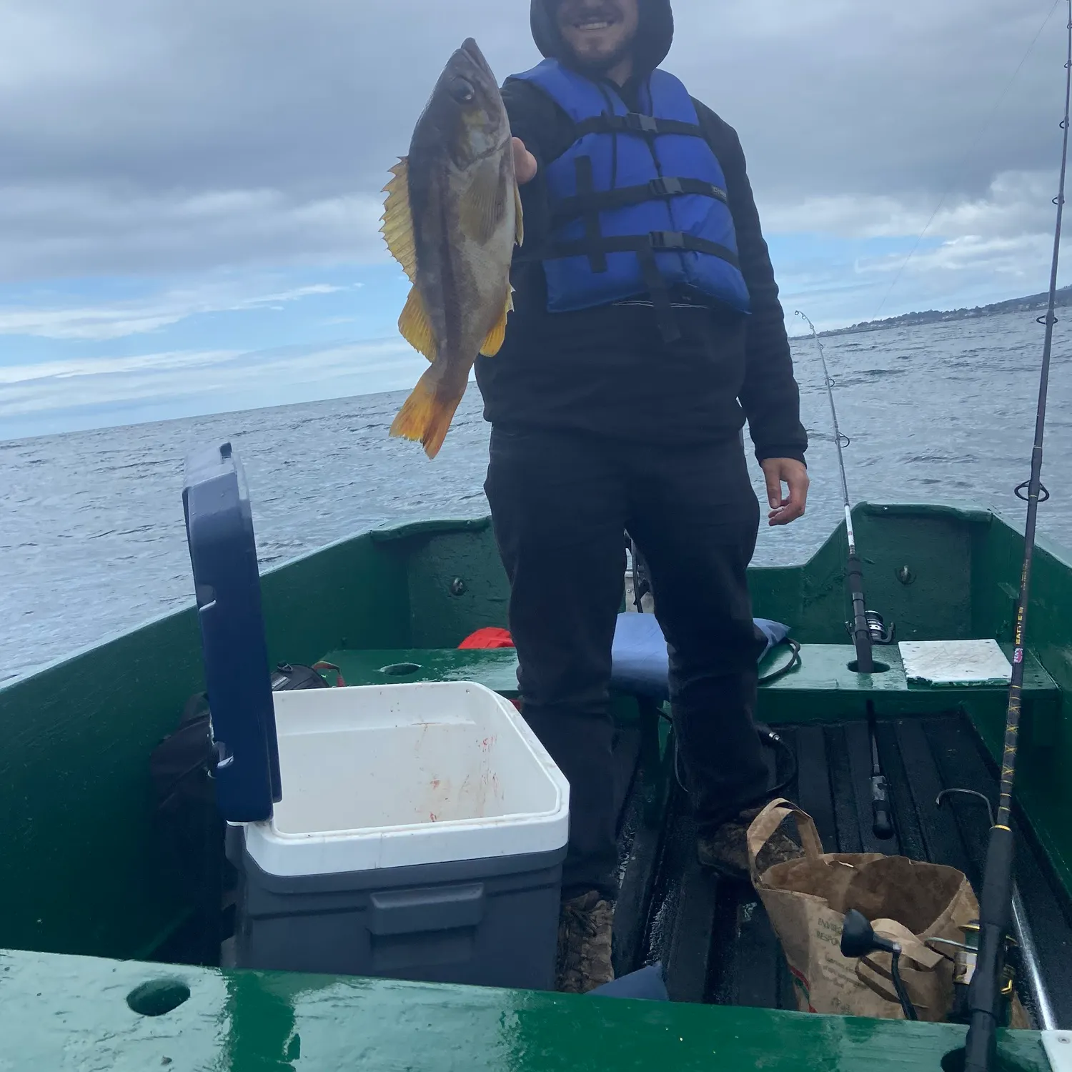 The most recent Yellowtail rockfish catches on Fishbrain