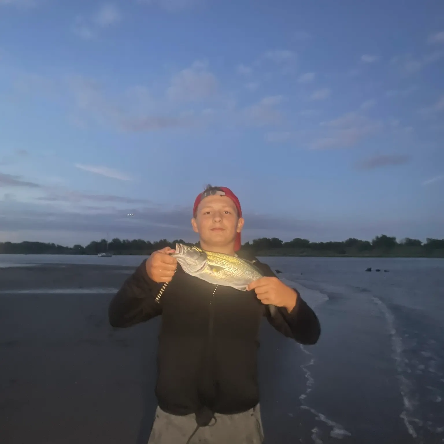 Bluefish caught on Fishbrain
