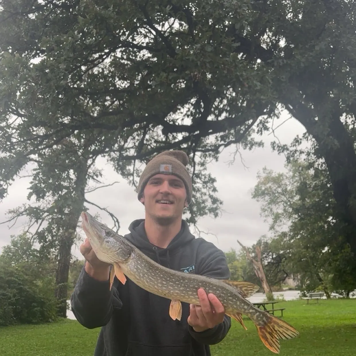 Northern pike caught on Fishbrain