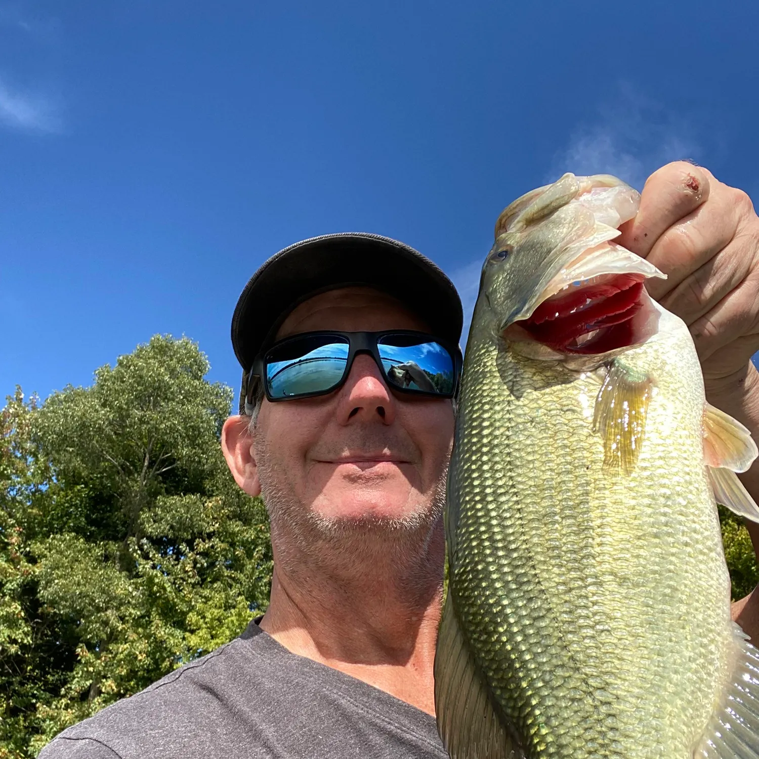 Largemouth bass caught on Fishbrain