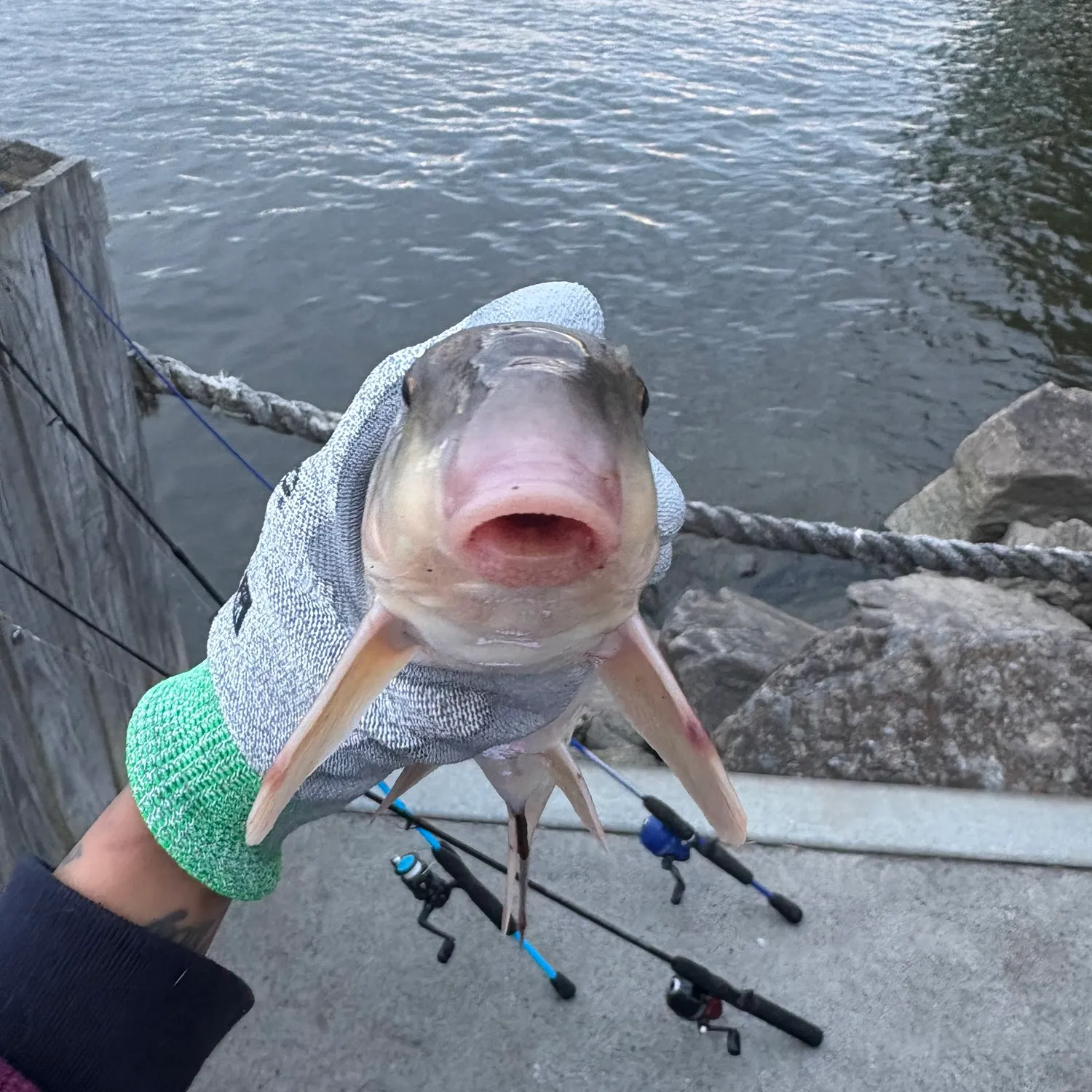 catch