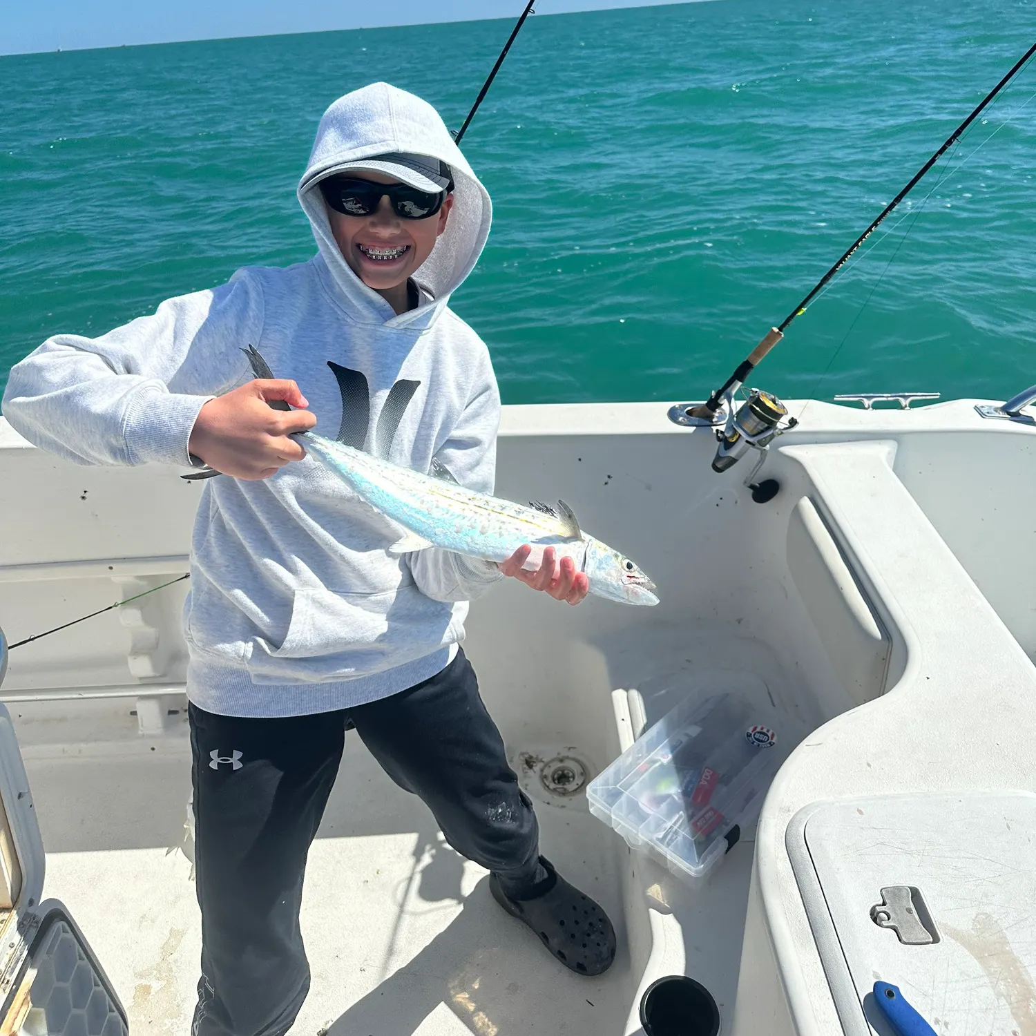 The most recent Cero mackerel catches on Fishbrain