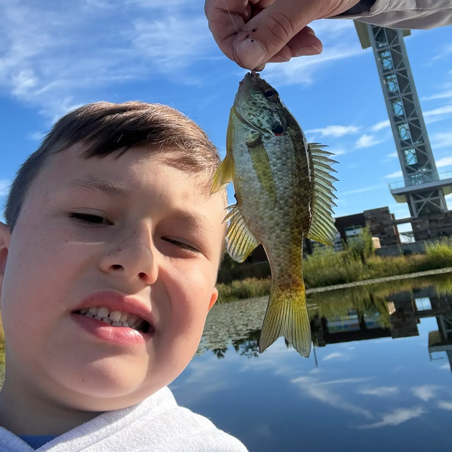 Redear sunfish caught on Fishbrain