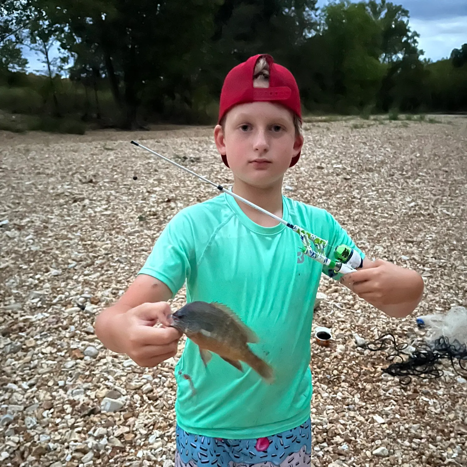 Bluegill caught on Fishbrain