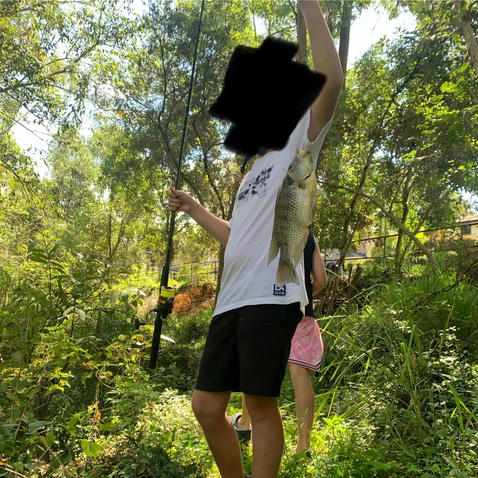 The most recent Mozambique tilapia catches on Fishbrain