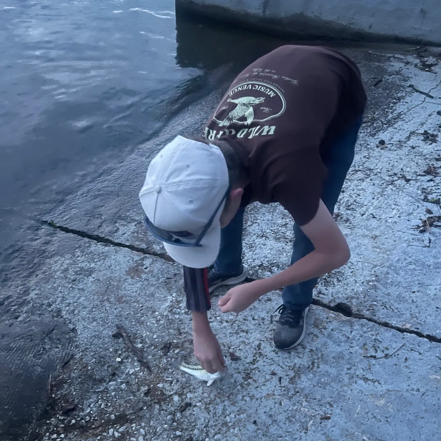 catch