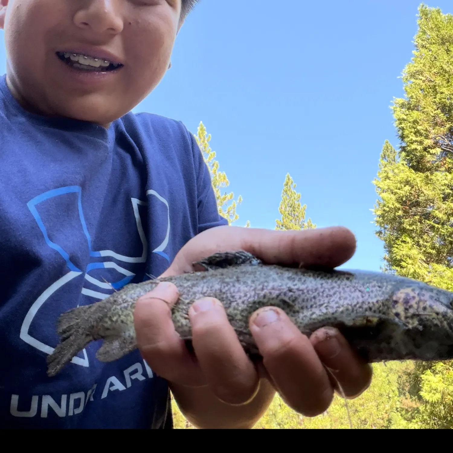 Rainbow trout caught on Fishbrain