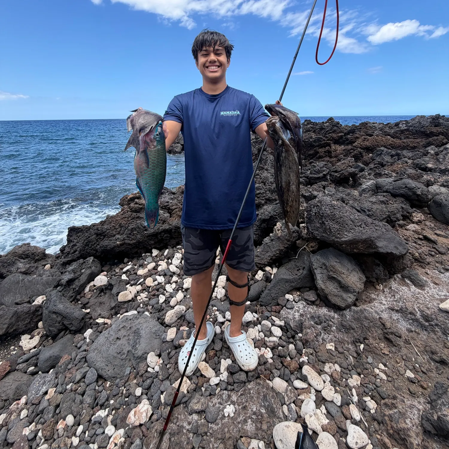 The most recent Blue parrotfish catches on Fishbrain