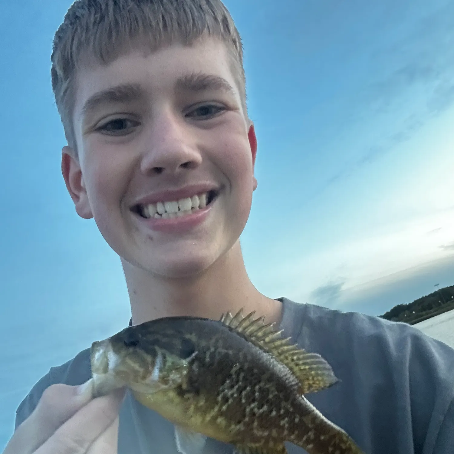 Warmouth caught on Fishbrain