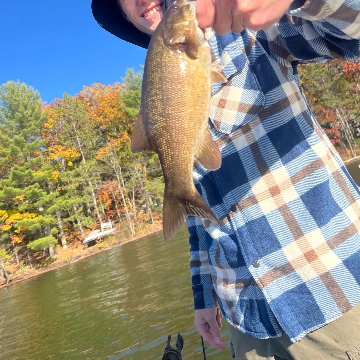 Smallmouth bass caught on Fishbrain