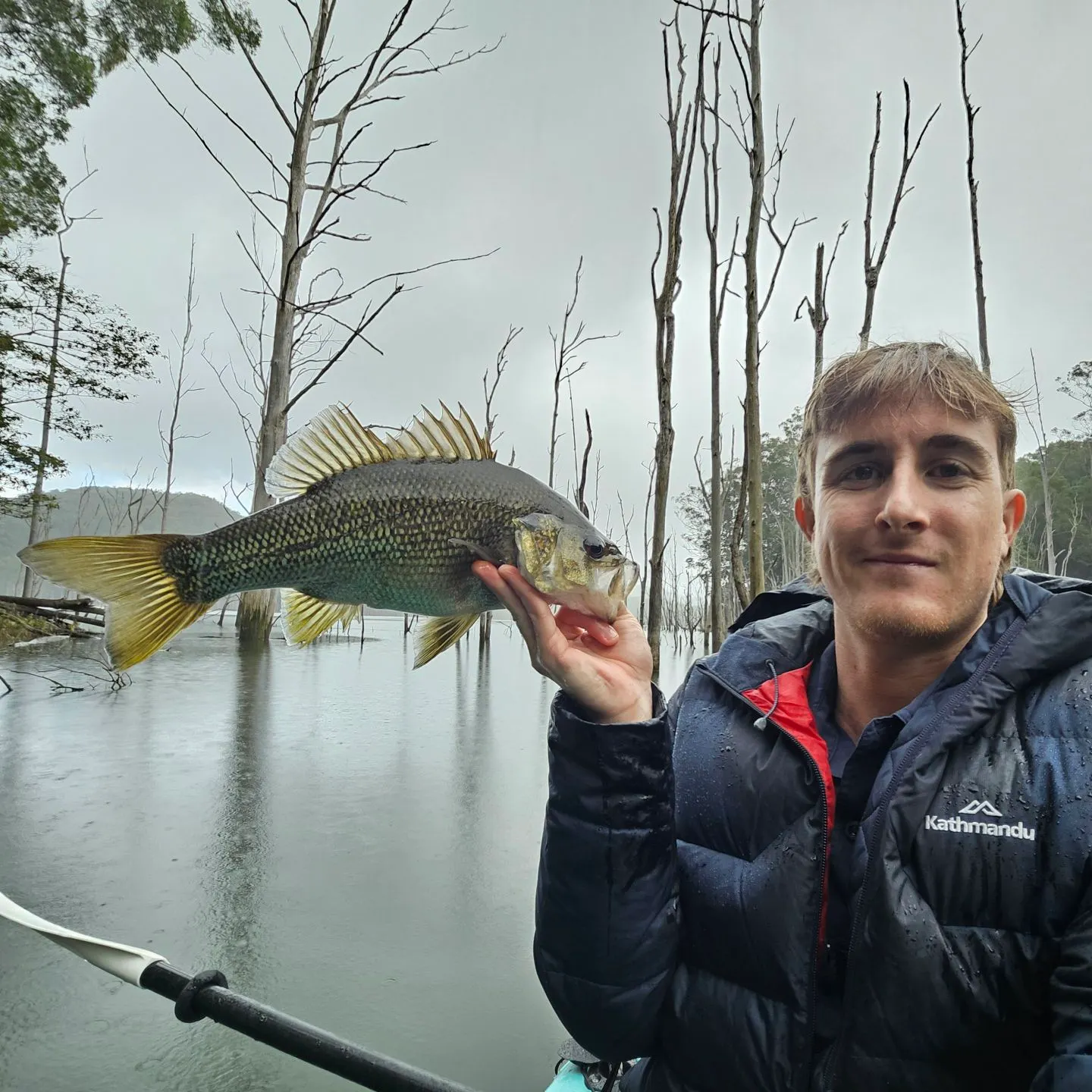 The most recent Australian bass catches on Fishbrain