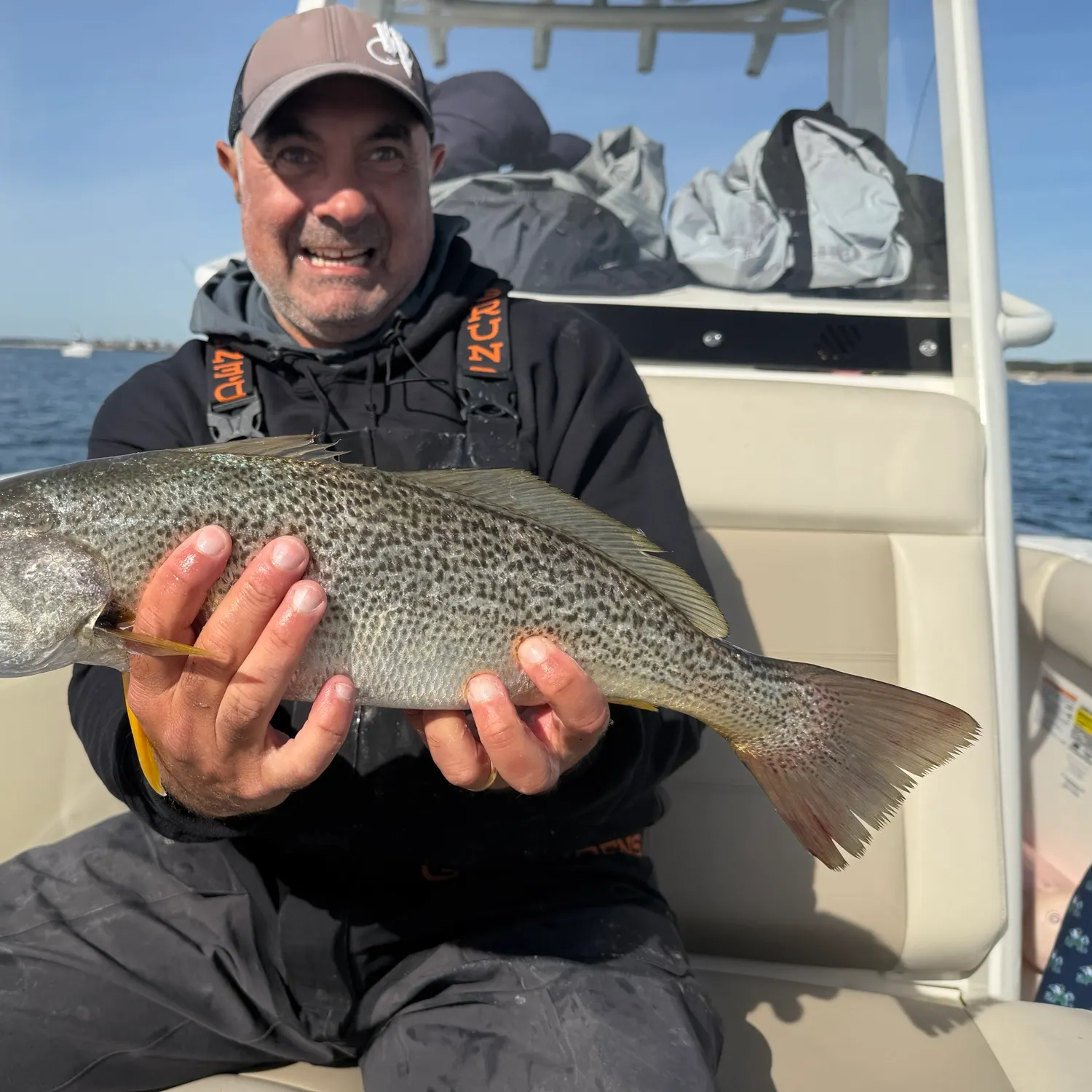 The most recent Gray weakfish catches on Fishbrain