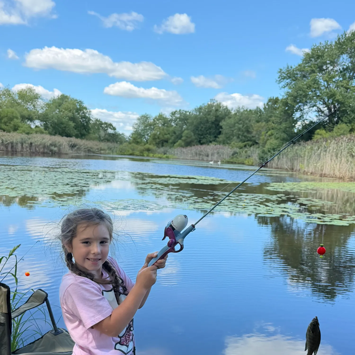 Bluegill caught on Fishbrain