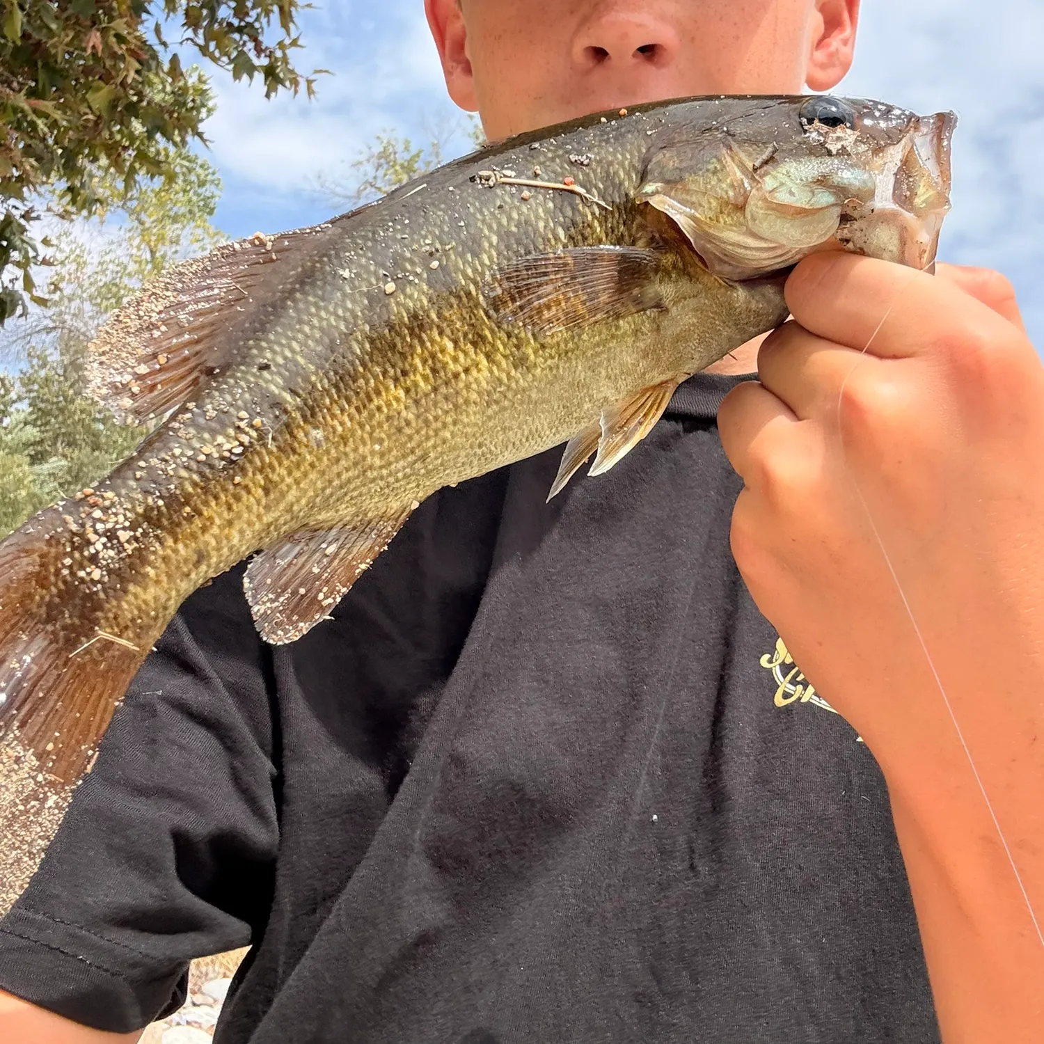 Smallmouth bass caught on Fishbrain