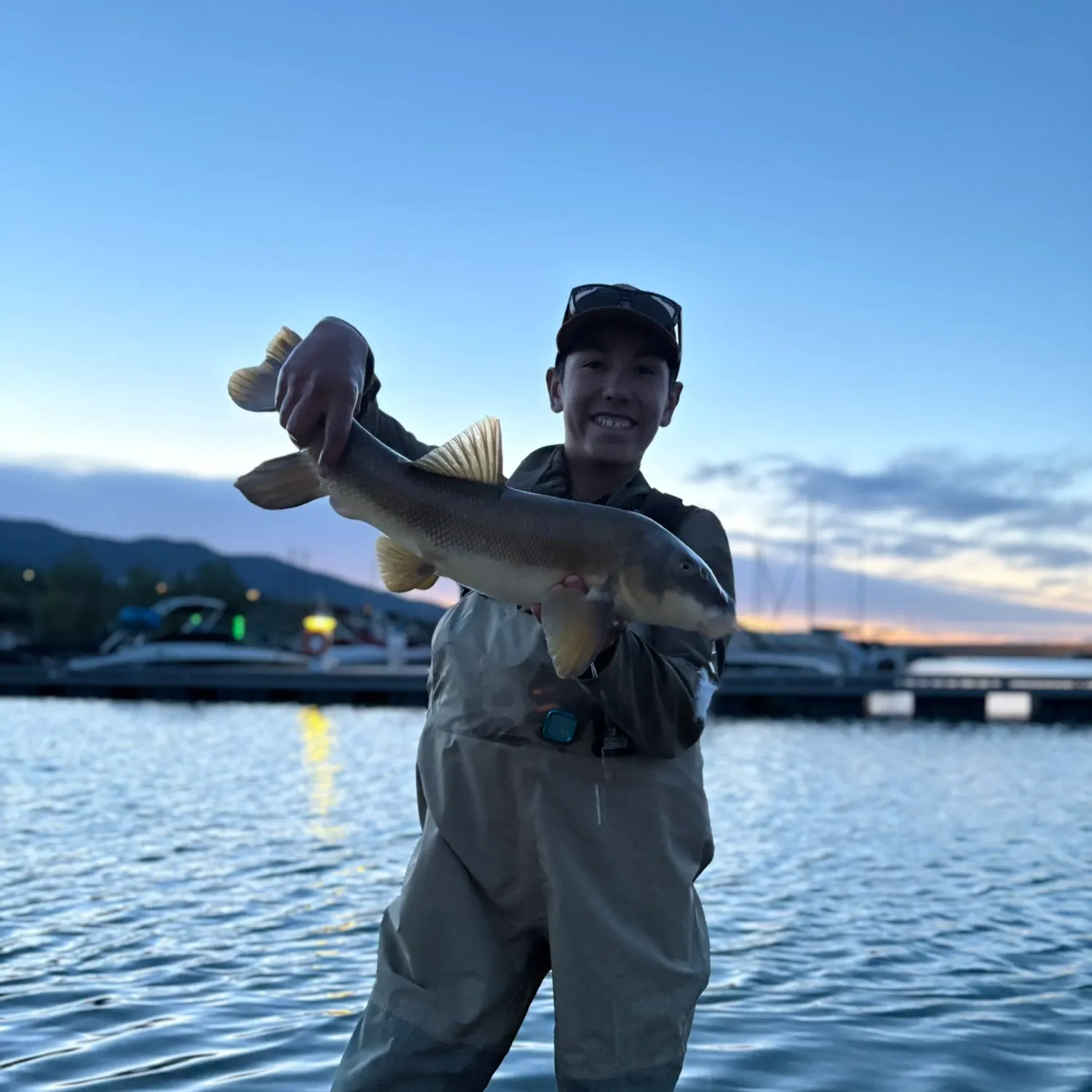 The most recent Utah sucker catches on Fishbrain