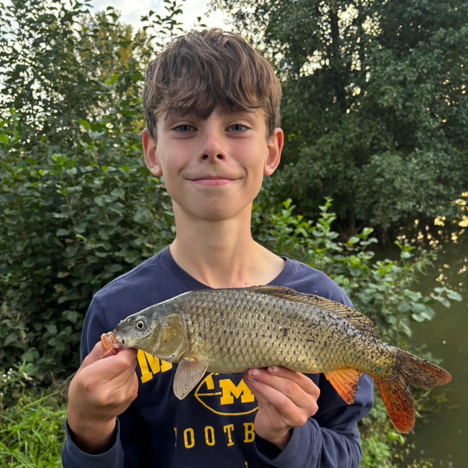 Common carp caught on Fishbrain