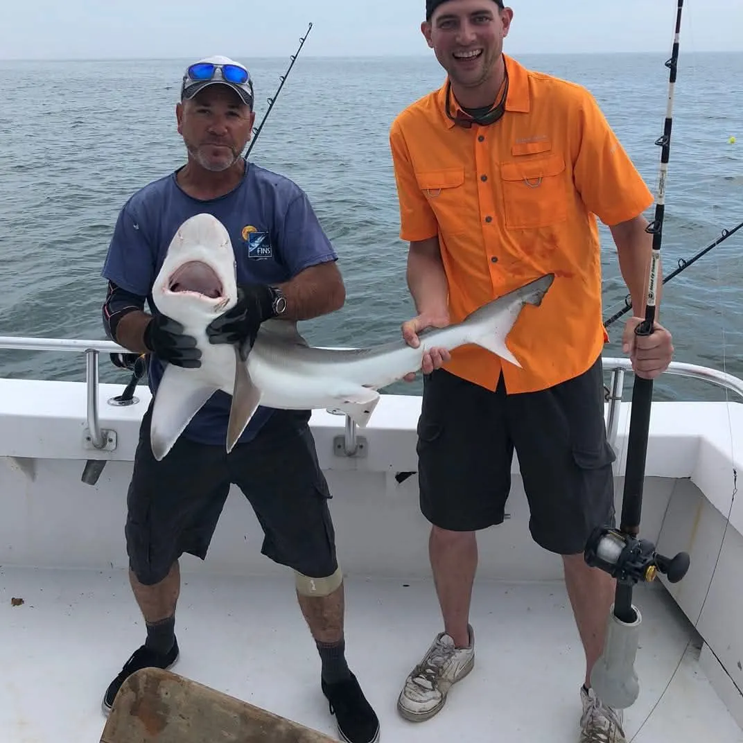 The most recent Dusky shark catches on Fishbrain