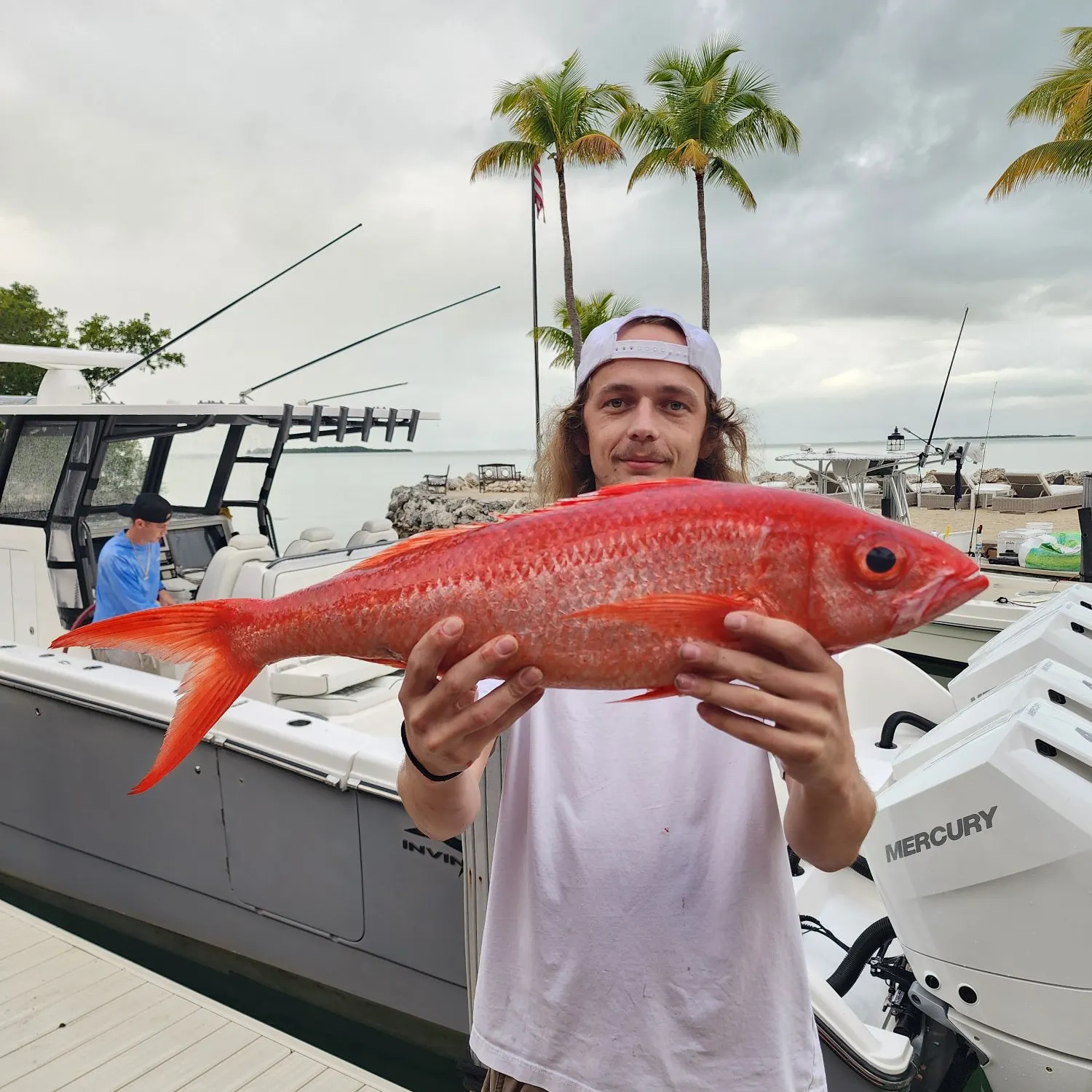 The most recent Queen Snapper catches on Fishbrain