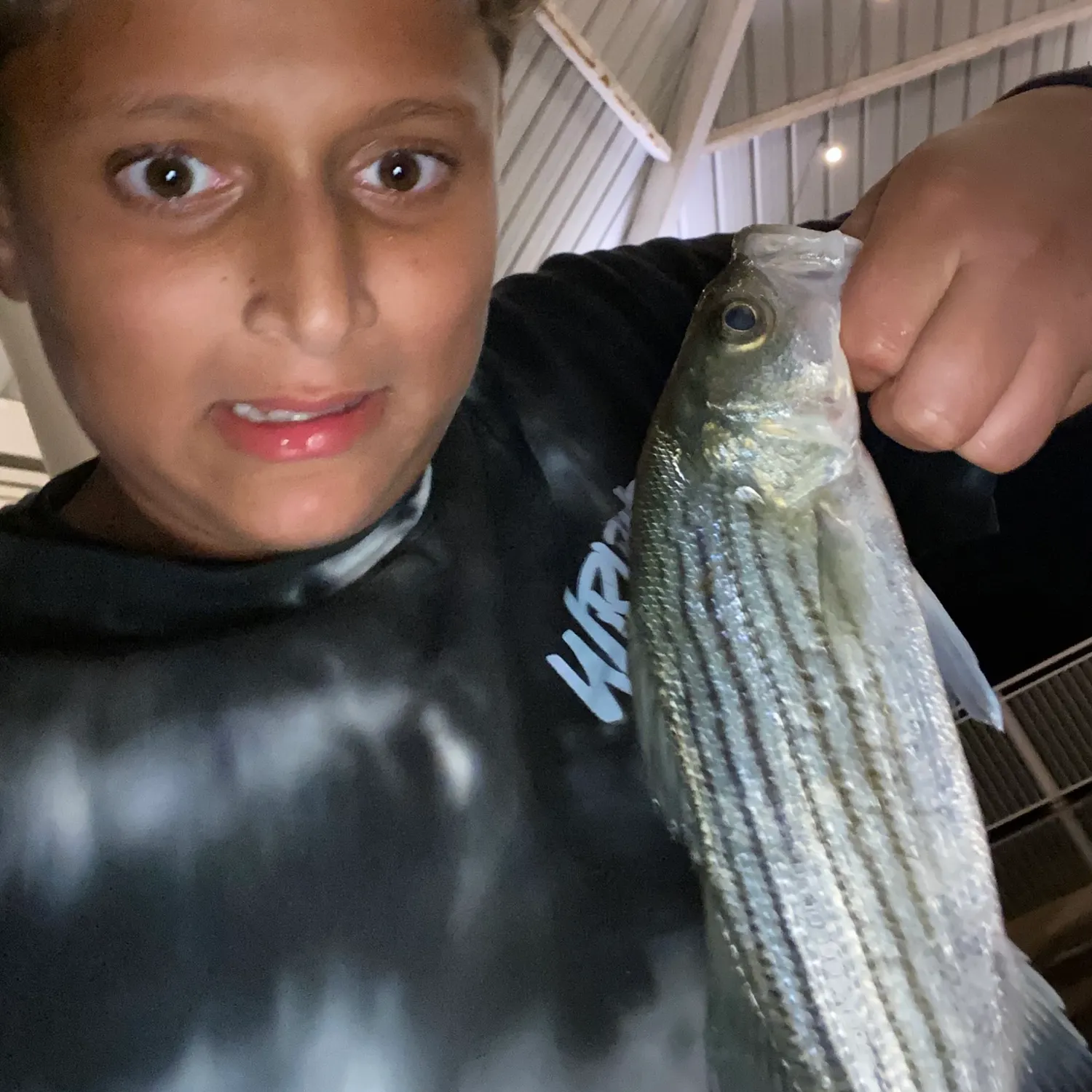 Striped bass caught on Fishbrain
