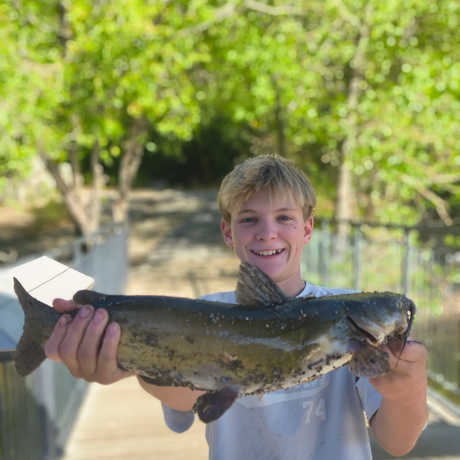 Channel catfish caught on Fishbrain