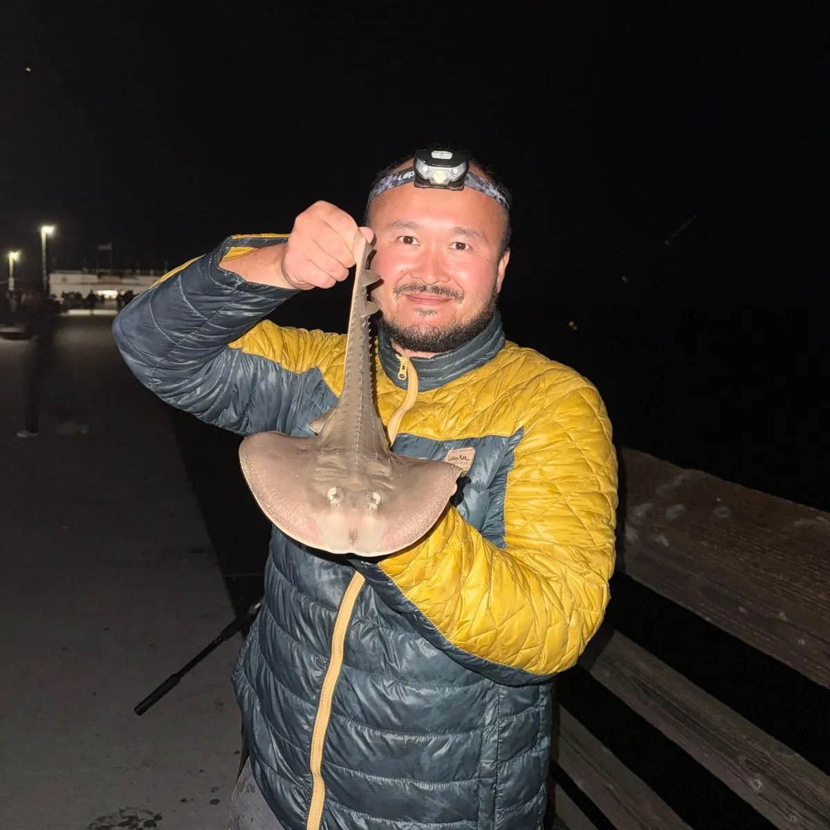 The most recent Thornback guitarfish catches on Fishbrain