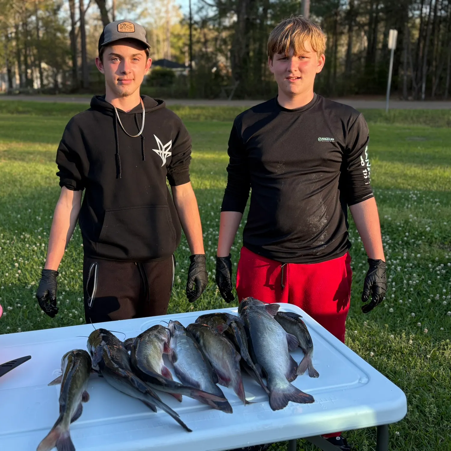 recently logged catches