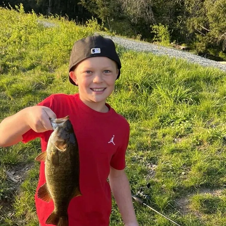 Smallmouth bass caught on Fishbrain