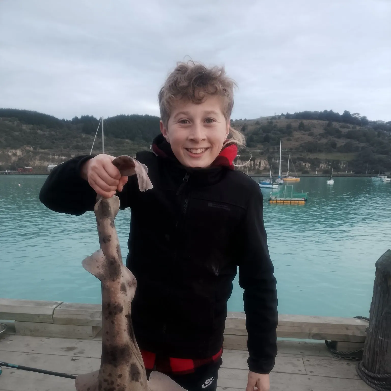 The most recent Speckled carpetshark catches on Fishbrain