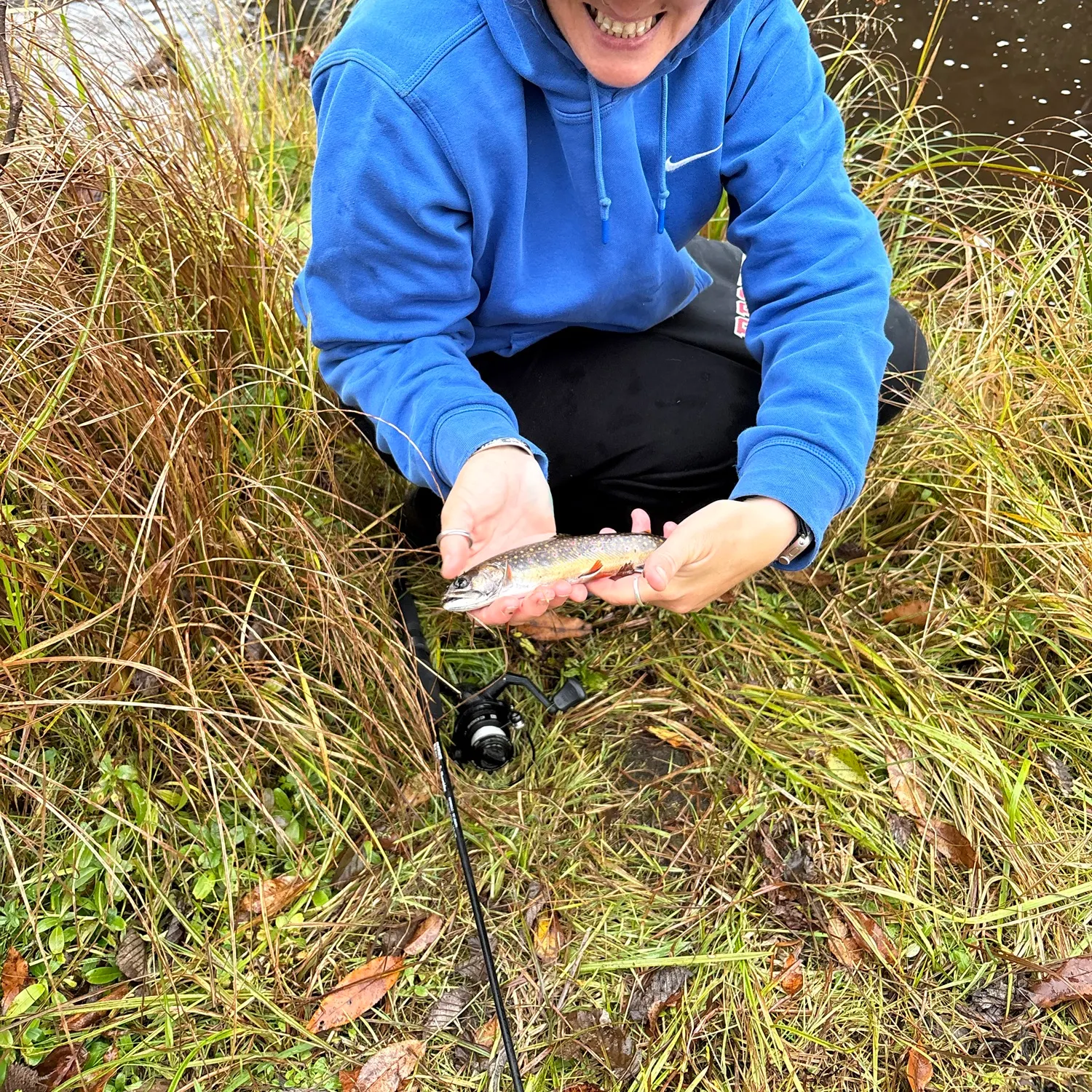 Rainbow trout caught on Fishbrain