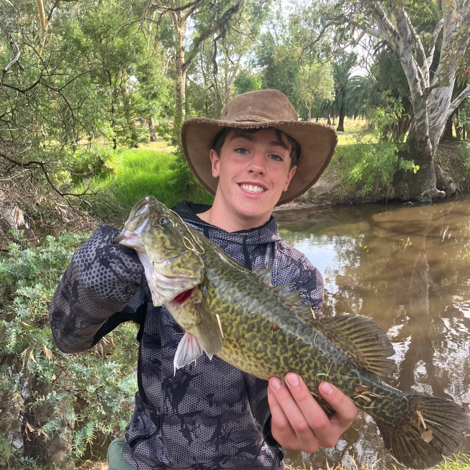 The most recent Murray cod catches on Fishbrain
