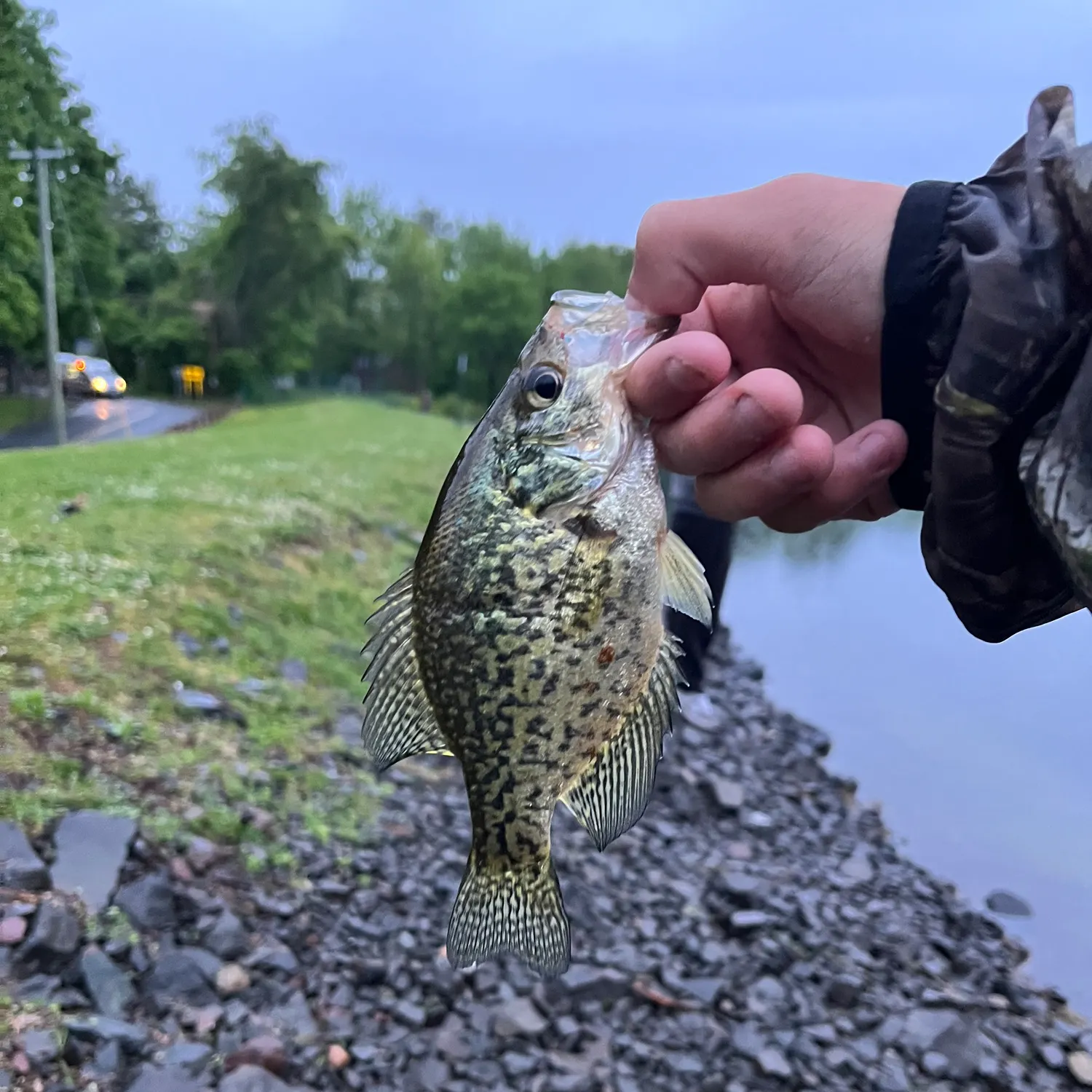 catch