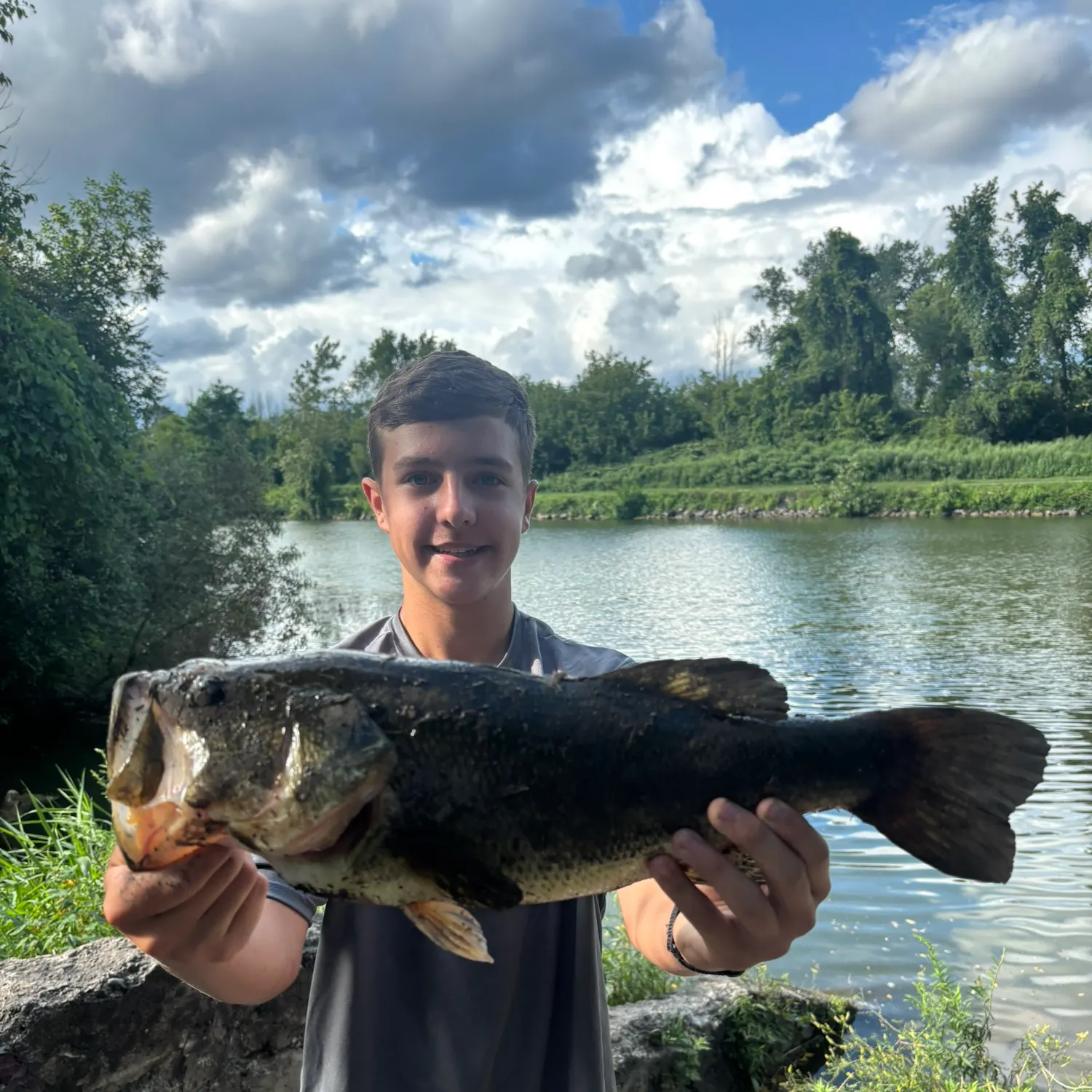Largemouth bass caught on Fishbrain