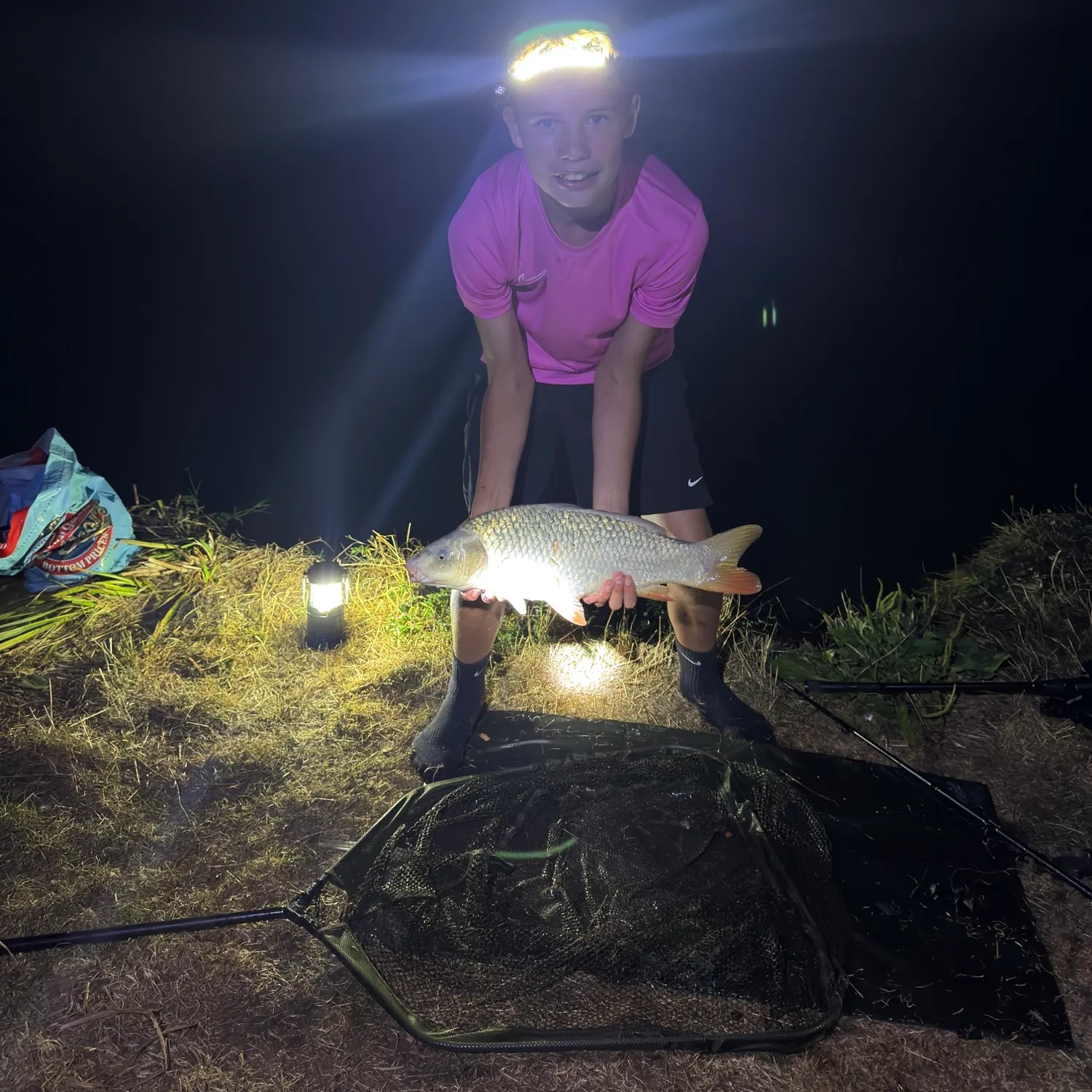 Common carp caught on Fishbrain