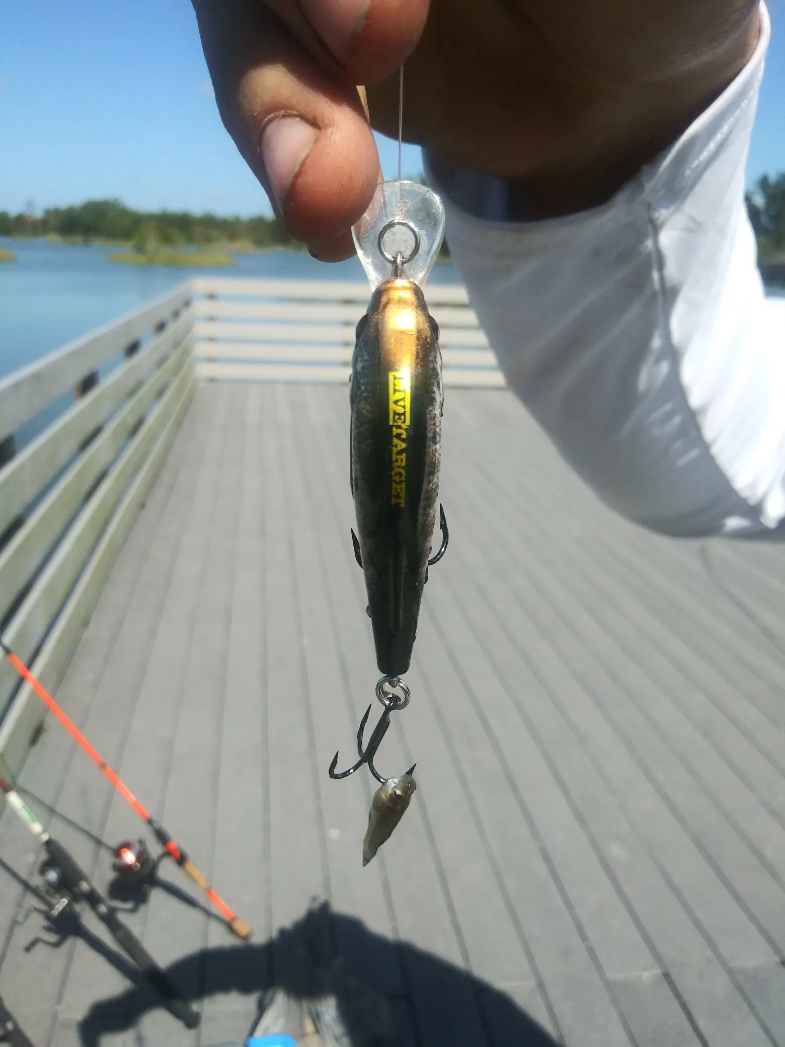 Post image from joeydiluzio