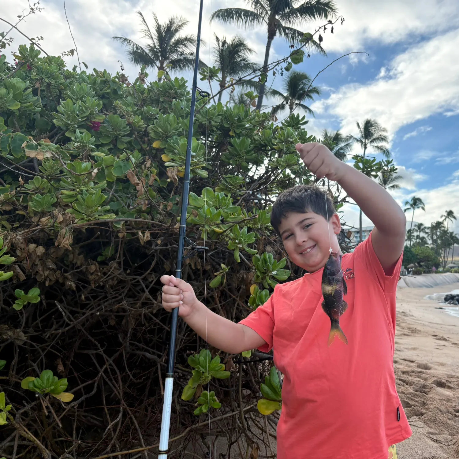 The most recent Christmas wrasse catches on Fishbrain