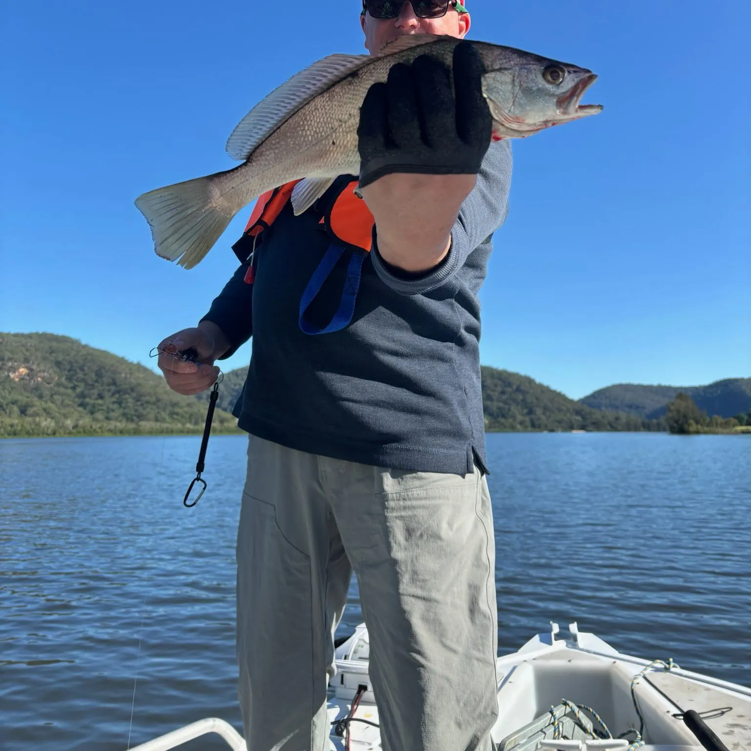 The most recent Japanese meagre catches on Fishbrain