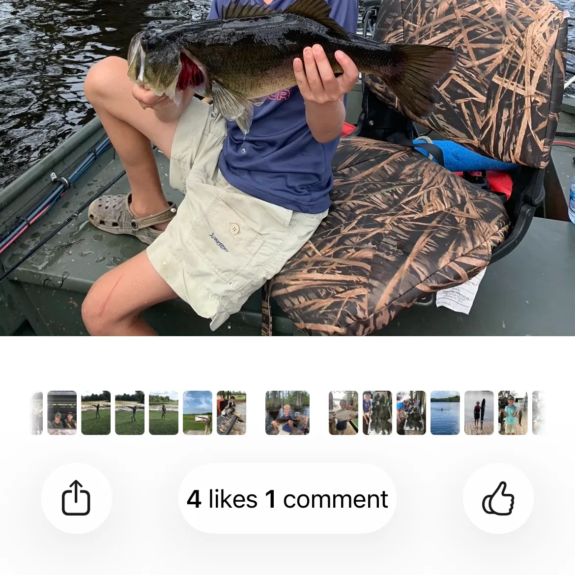 recently logged catches