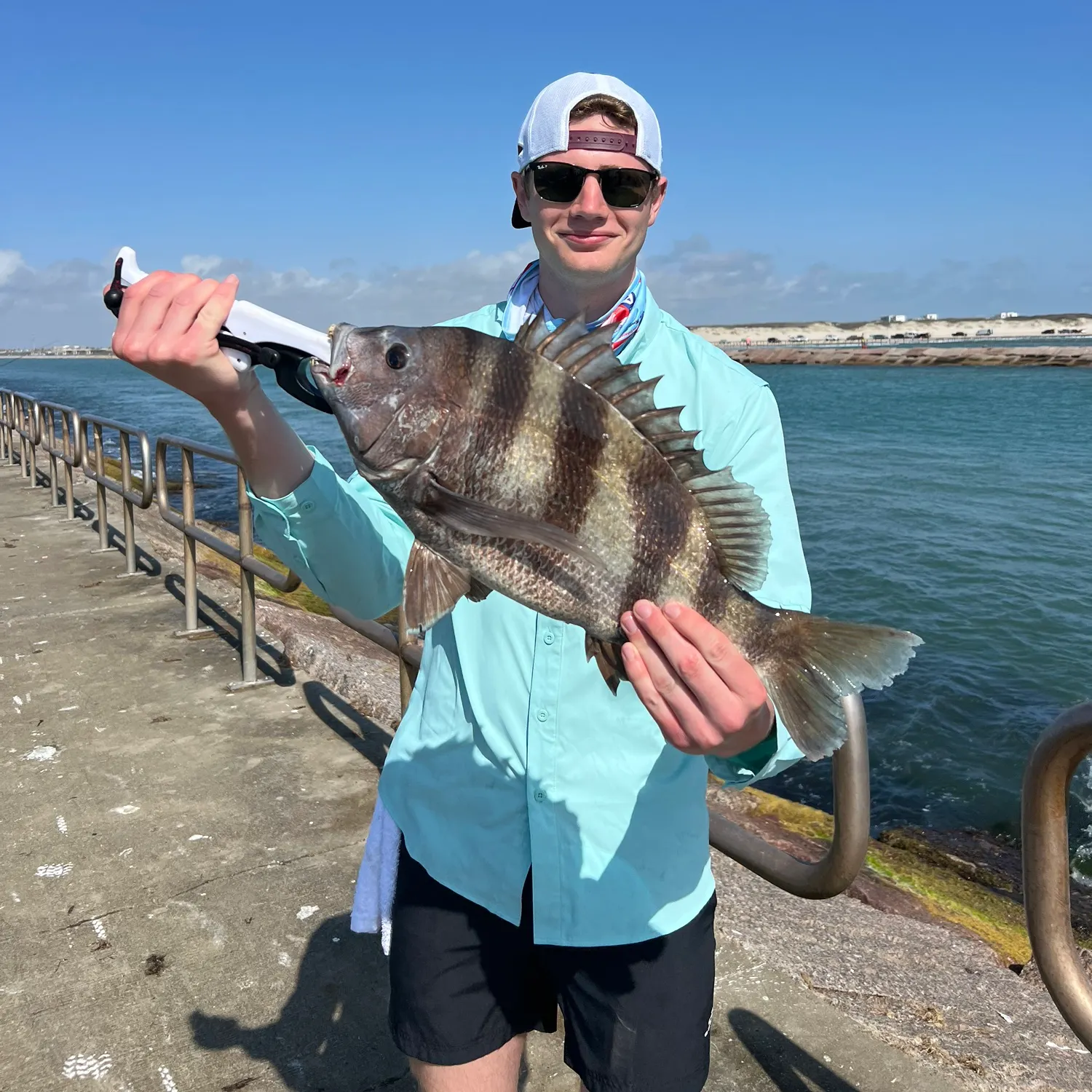 The most recent Sheepshead catches on Fishbrain